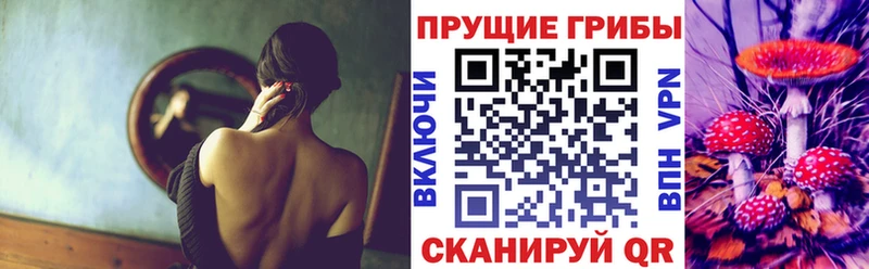 Галлюциногенные грибы мухоморы  хочу наркоту  Химки 