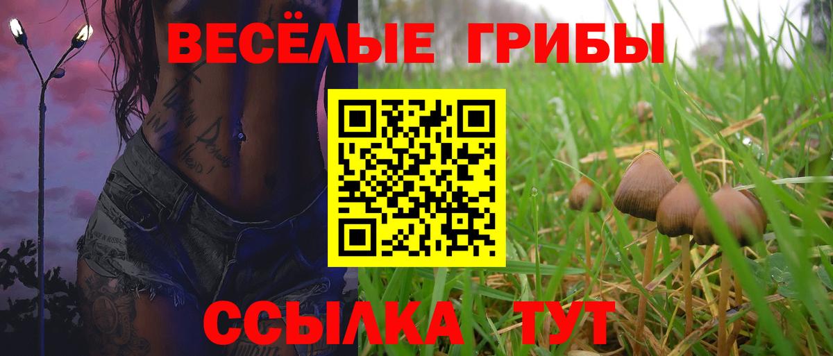 Химки  Галлюциногенные грибы мицелий  Вход с VPN 